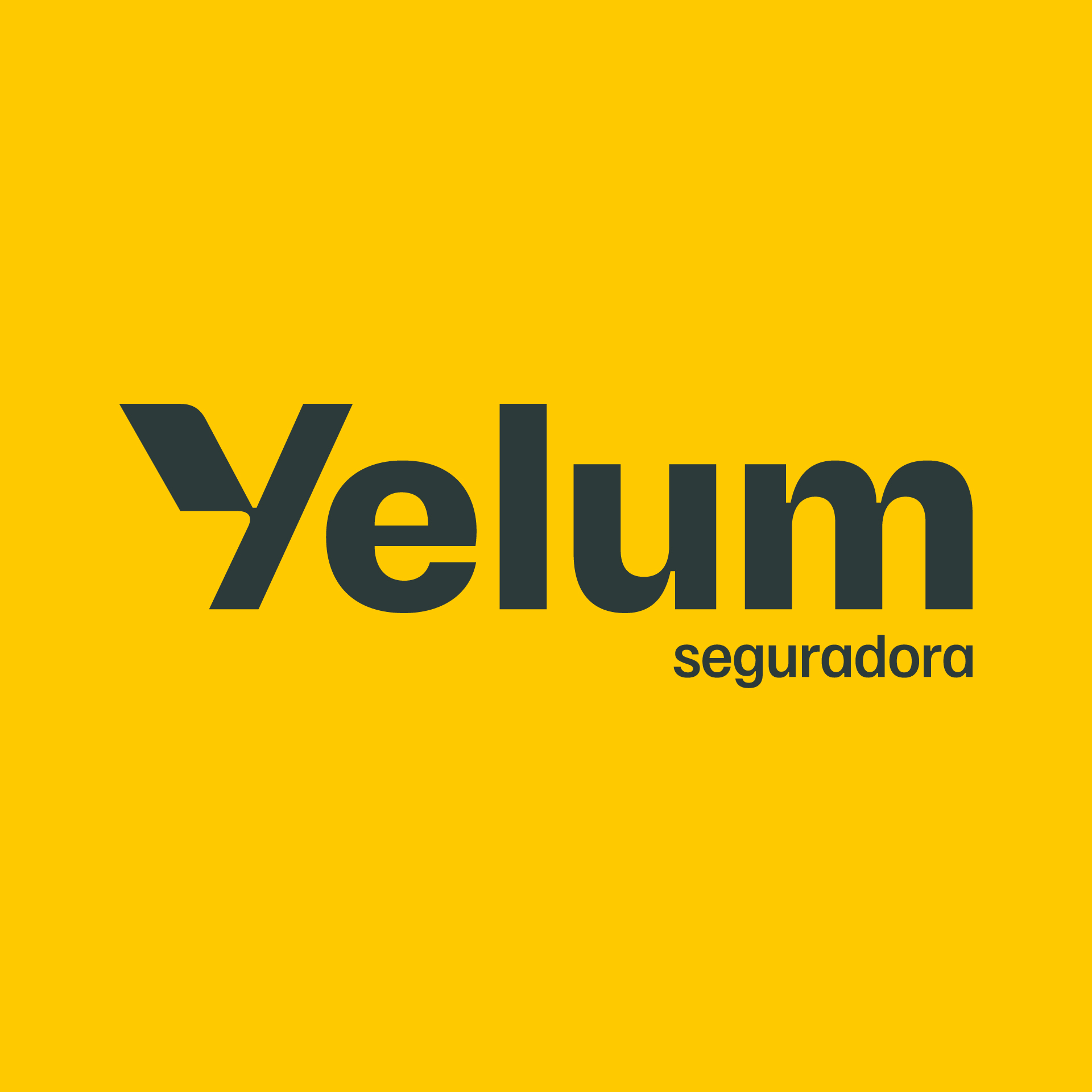 Logotipo da Yelum Seguradora